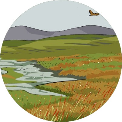 Peatland Landscape graphic