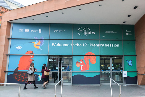 Some of the JNCC negotiating team arriving on the first day © Photo by IISD/ENB | Anastasia Rodopoulou
