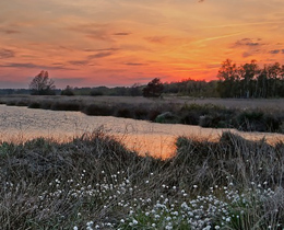 Assessing changes in peatland condition: new report published