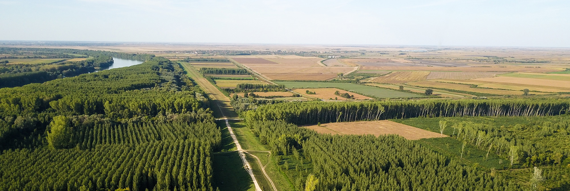 New reports published on UK consumption impacts