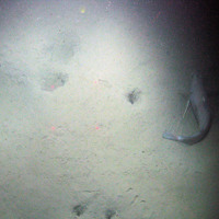 © JNCC/Cefas sediment on the seabed