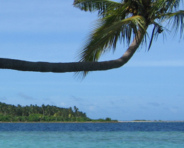 JNCC to play a pivotal role in Government scale-up to protect the global ocean