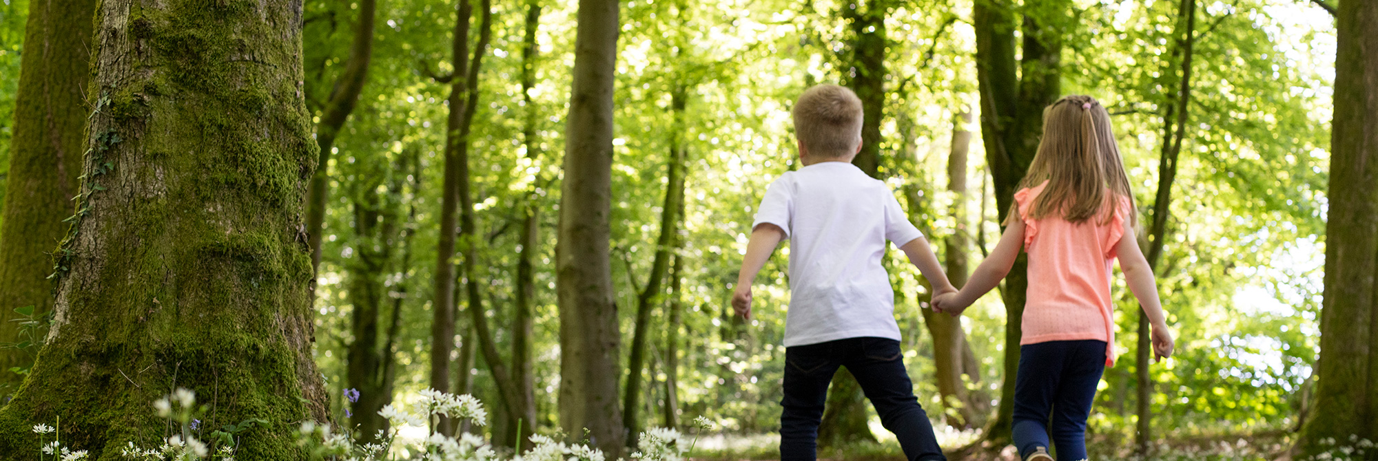 Nature Positive 2030: It’s not too late to reverse biodiversity decline 