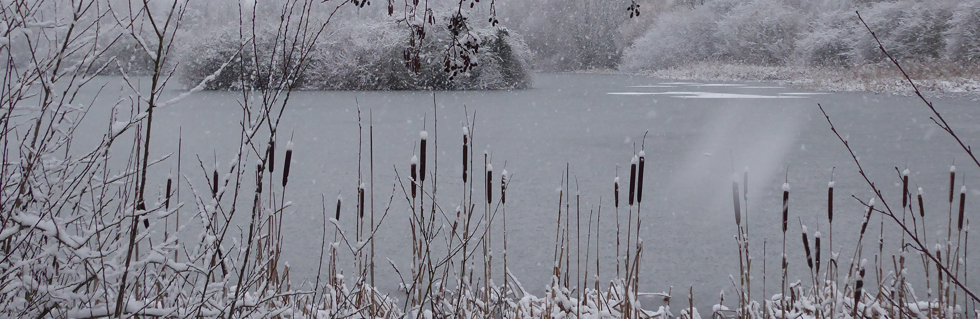 Severe weather update