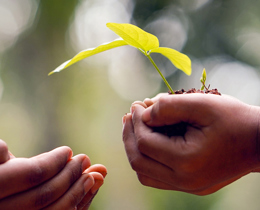 JNCC welcomes new Kunming-Montreal Global Biodiversity Framework
