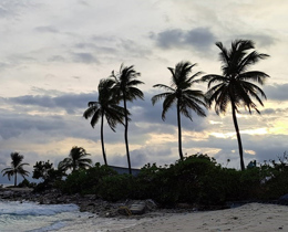 Management review of Marine Protected Areas in the Maldives published