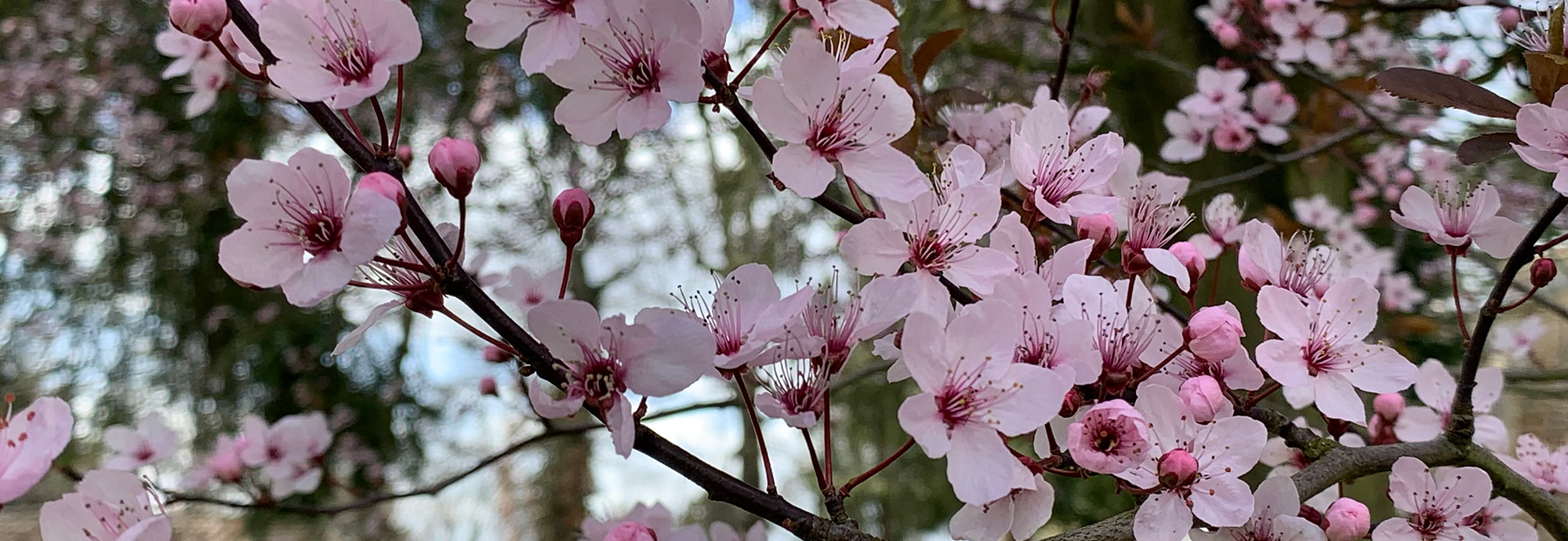 New Joint Committee Board Member appointed