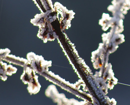 Nature News Winter 2022/23