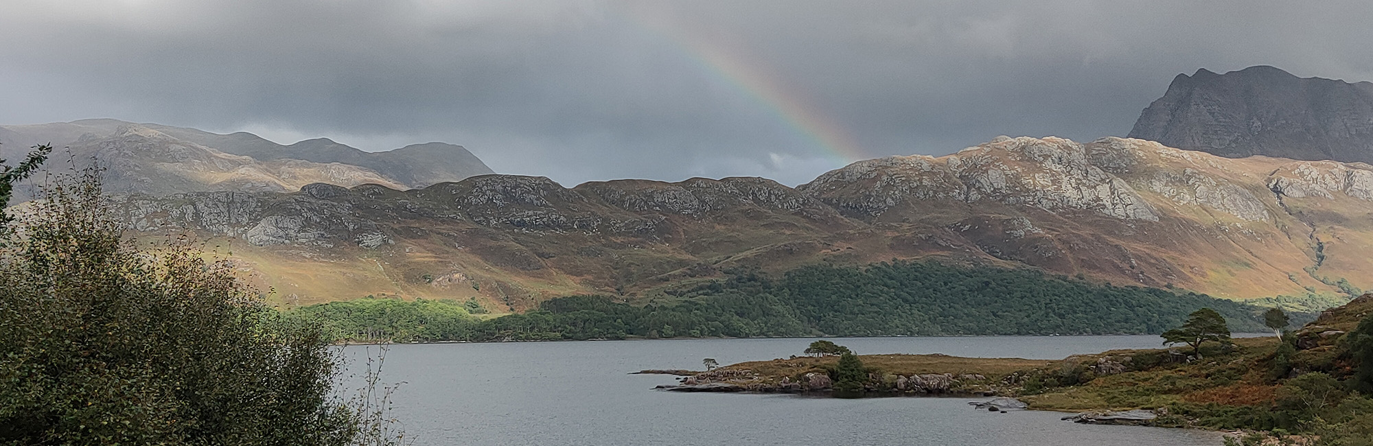 Update from JNCC's chair