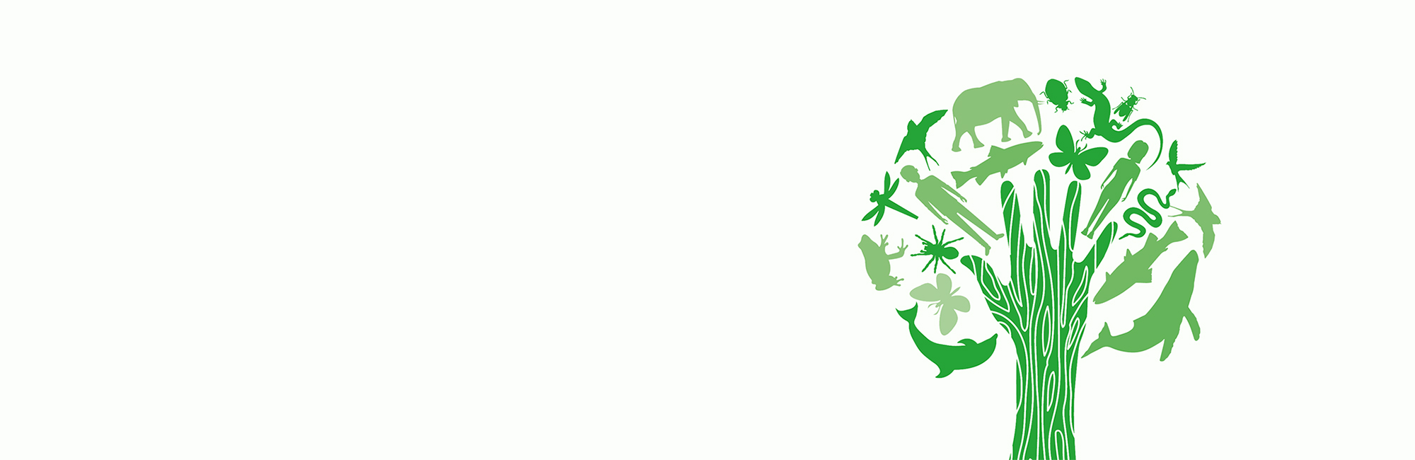 Nature News Spring 2024