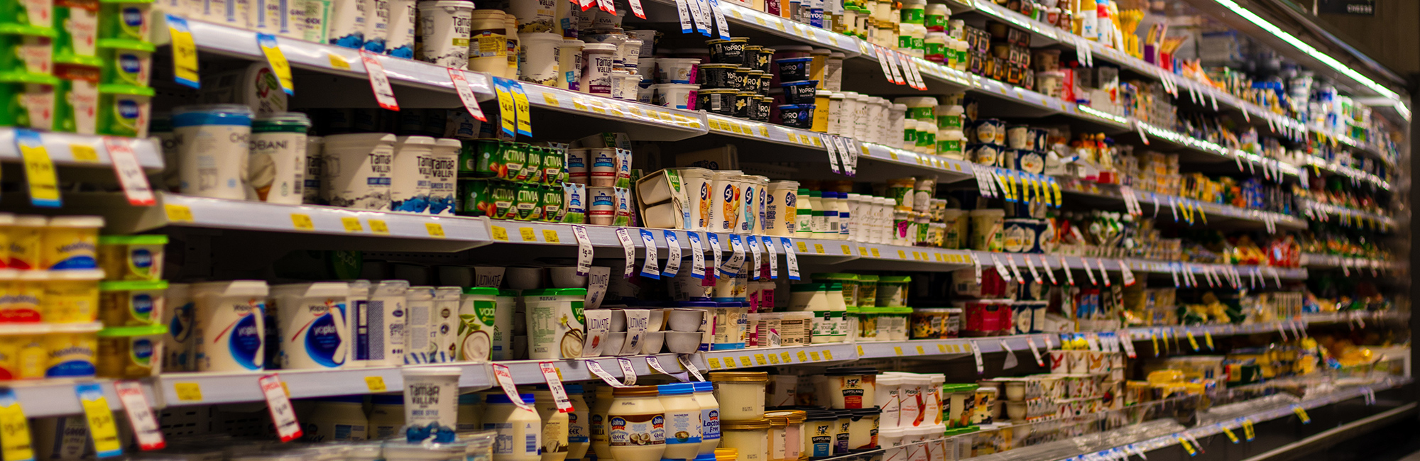 supermarket-shelves-4052658-pixabay-squirrel-photos-crop-web.jpg