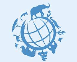 World Wildlife Day: Innovative finance at JNCC