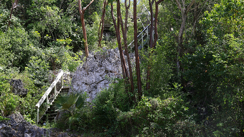 Hemmington Trail Cayman Brac Credit Doe