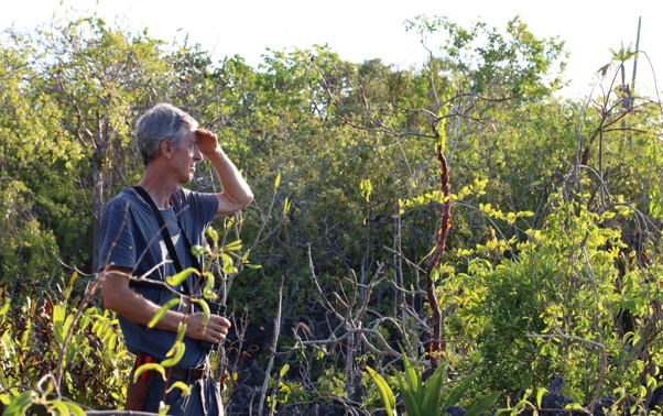 Fred Burton, Cayman DoE, surveys forest. Credit: Cayman DoE.