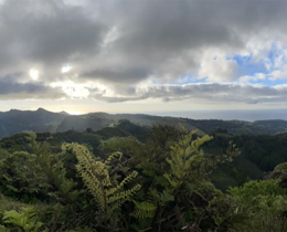 Panoramic photograph of the landscape of St Helena