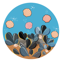 Horse Mussels 2
