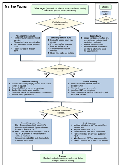 Best Practice Guidance Image Page