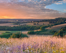 Landscape of South Downs