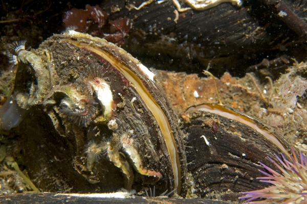 seabed ©Environment Agency